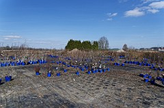 2017-03-26_23_Hoffuehrung_Kartoffelkombinat_ 2715_TU